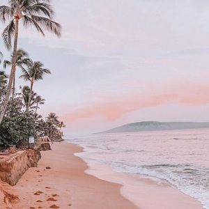 Meet your Posher, A d d y s o n